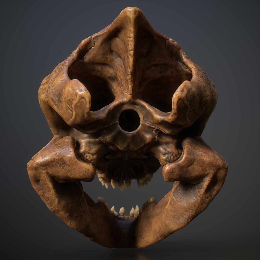 skull_FullQuality_003