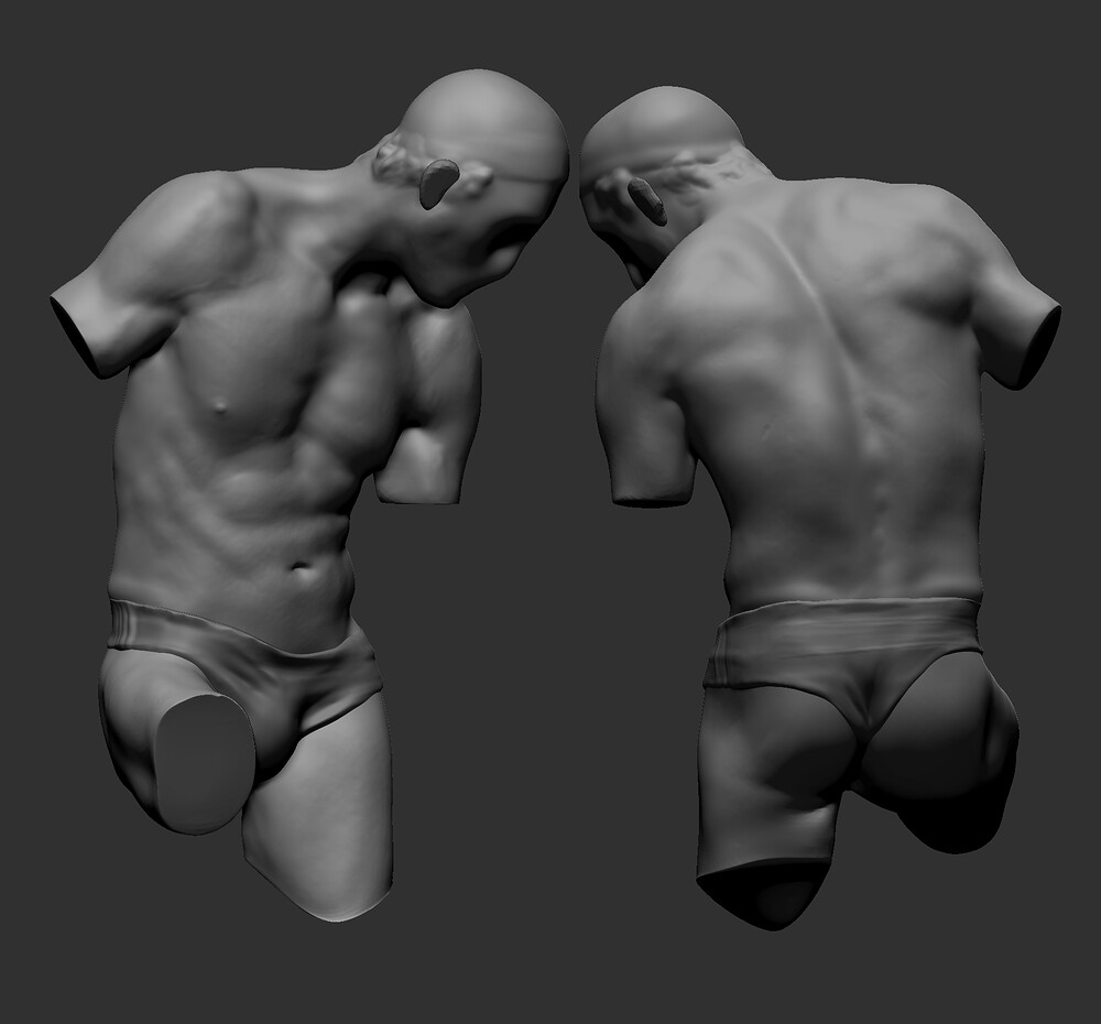 torso (2)