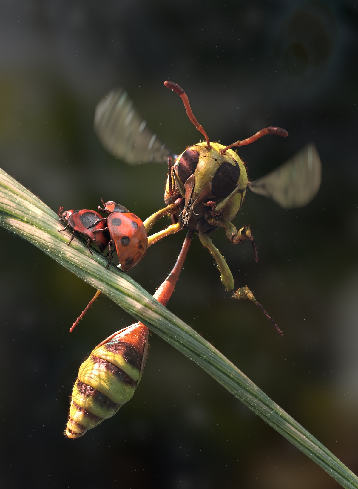 Wasp_A