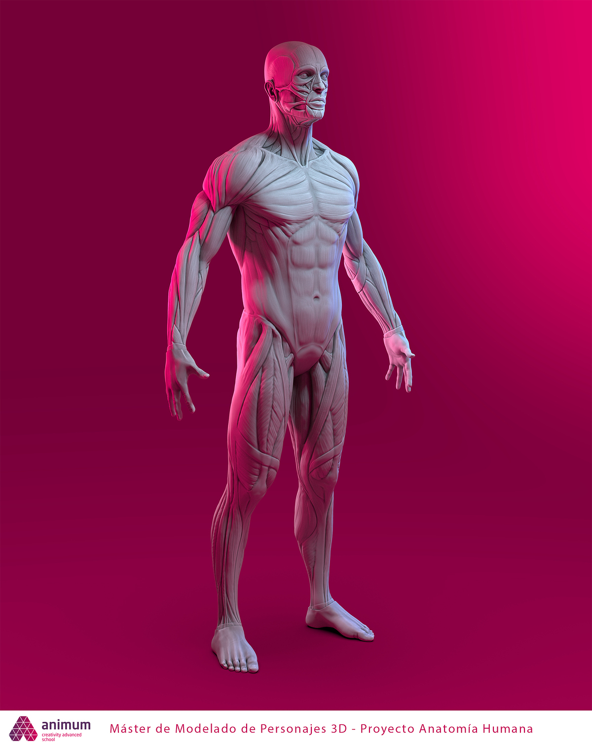 M01_Anatomia-Ecorche_01