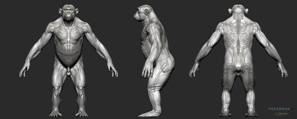 06_gael-kerchenbaum-06-chimp-breakdown