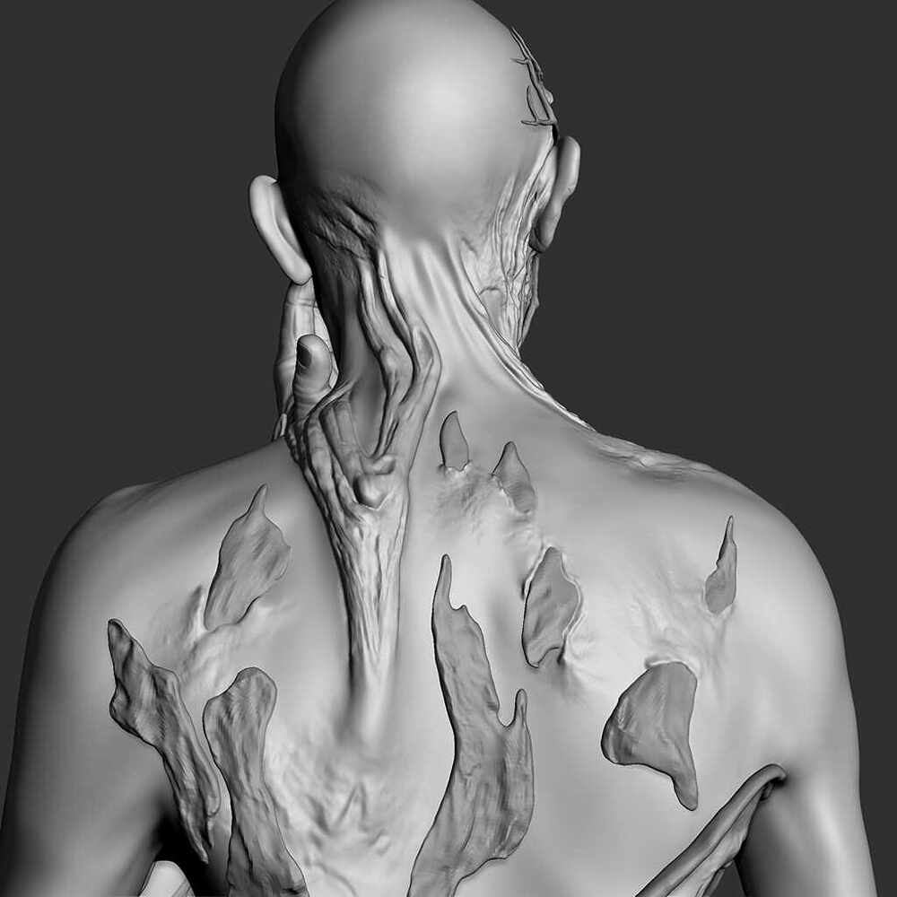 ZBrush Document6s