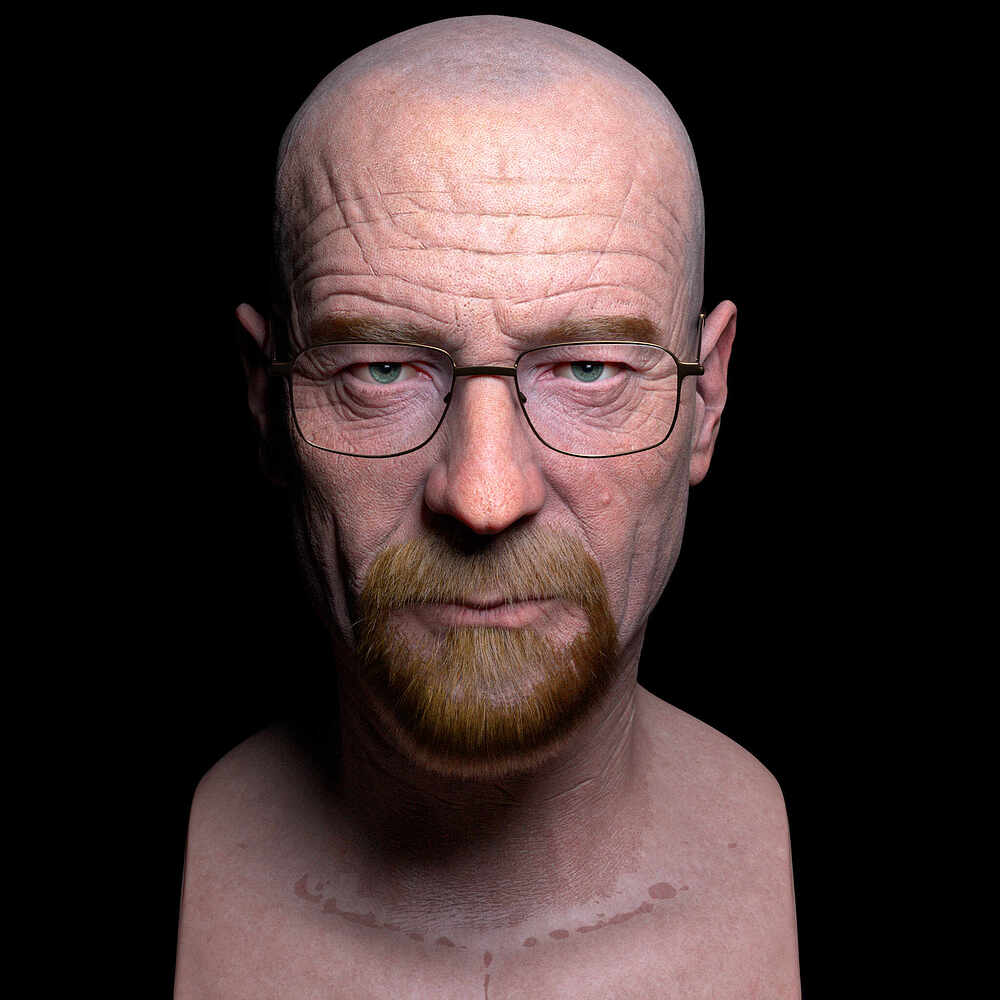WalterWhite.0009