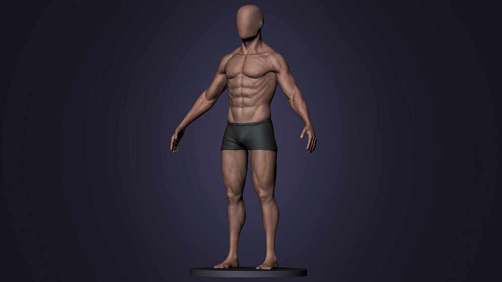 anatomy10
