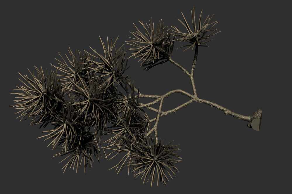 Branc01