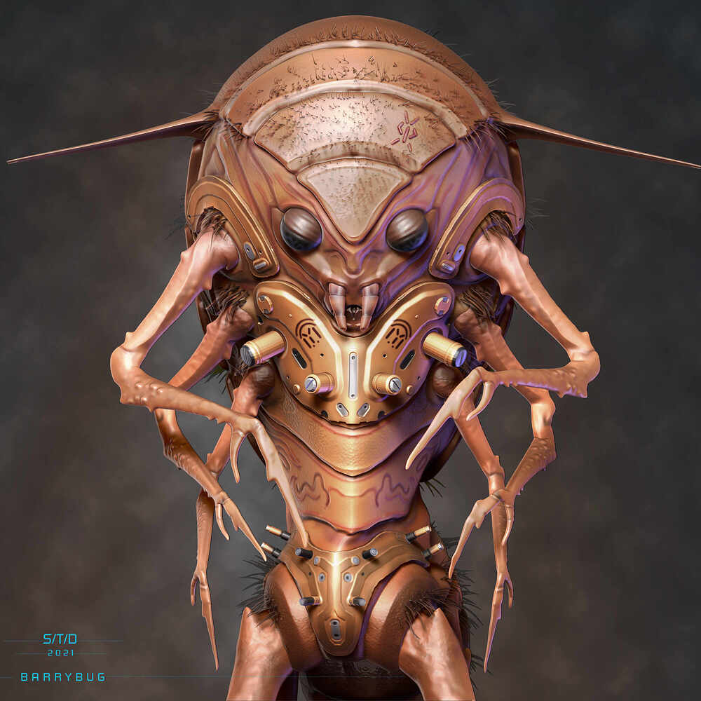 Barrybug2
