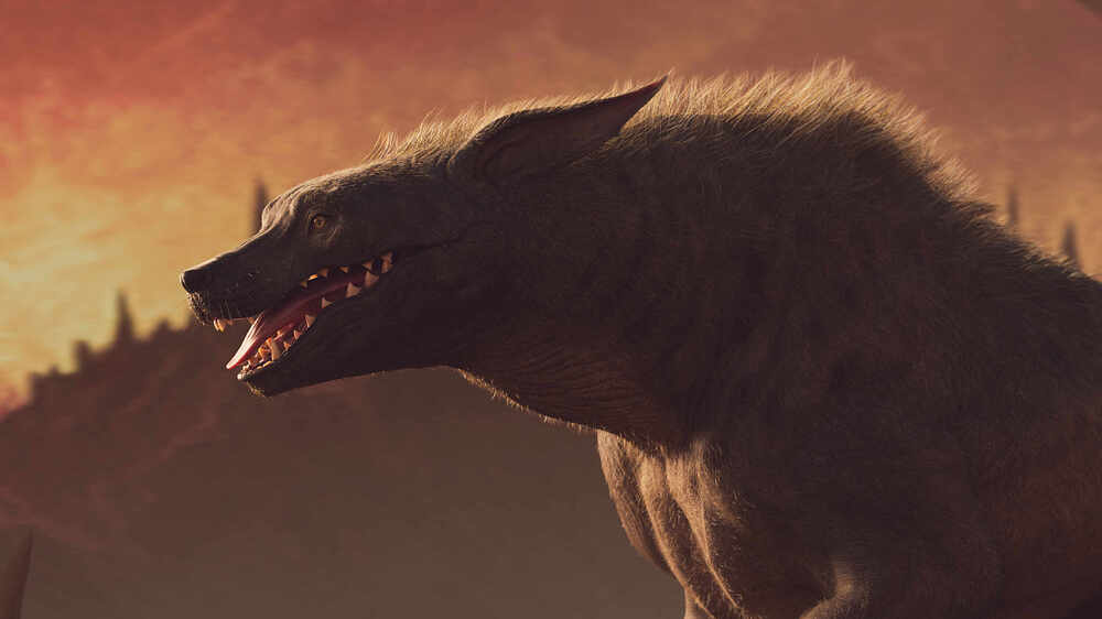 red rot dog beauty