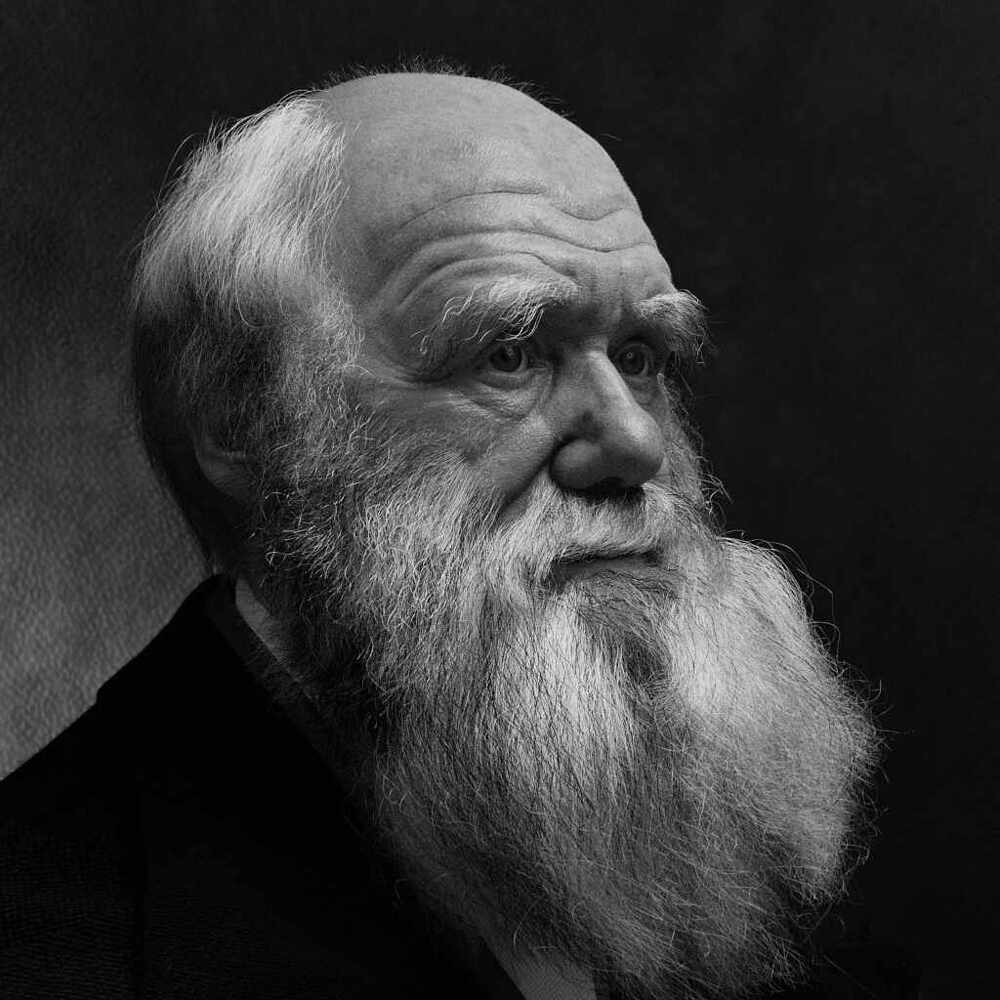Charles Darwin by vahid ahmadi closeMiddle6black