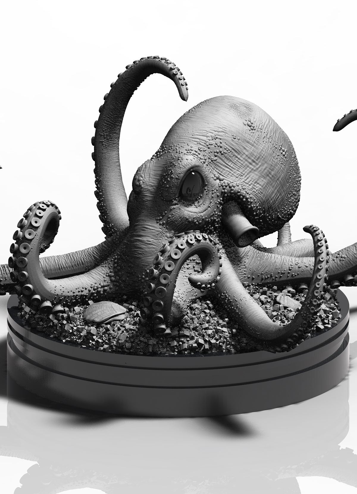 Octo_R1.17.jpg