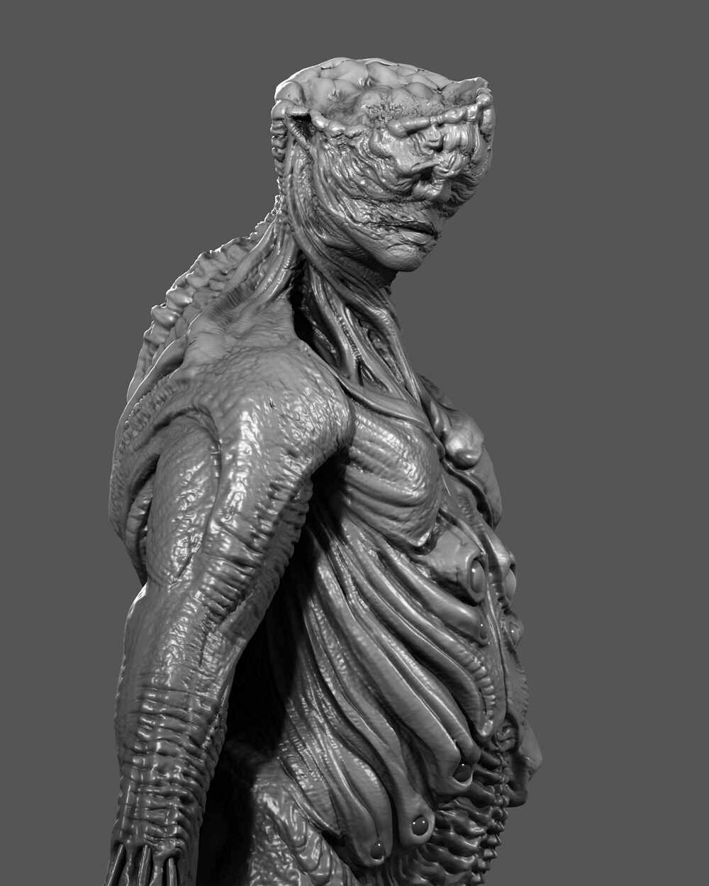 bwclay2