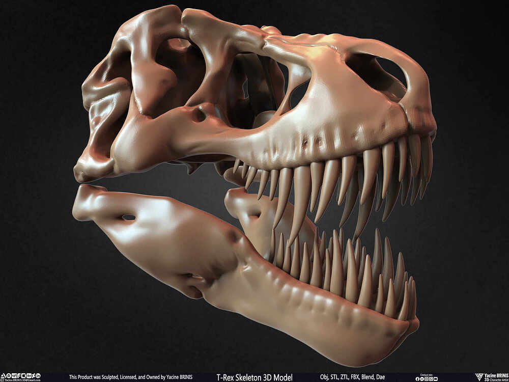 T-Rex Skeleton 3D Model (Tyrannosaurus Rex) Sculpted By Yacine BRINIS Set 025