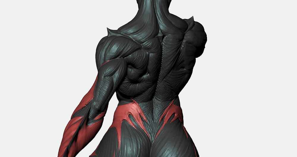 zbrushextra4