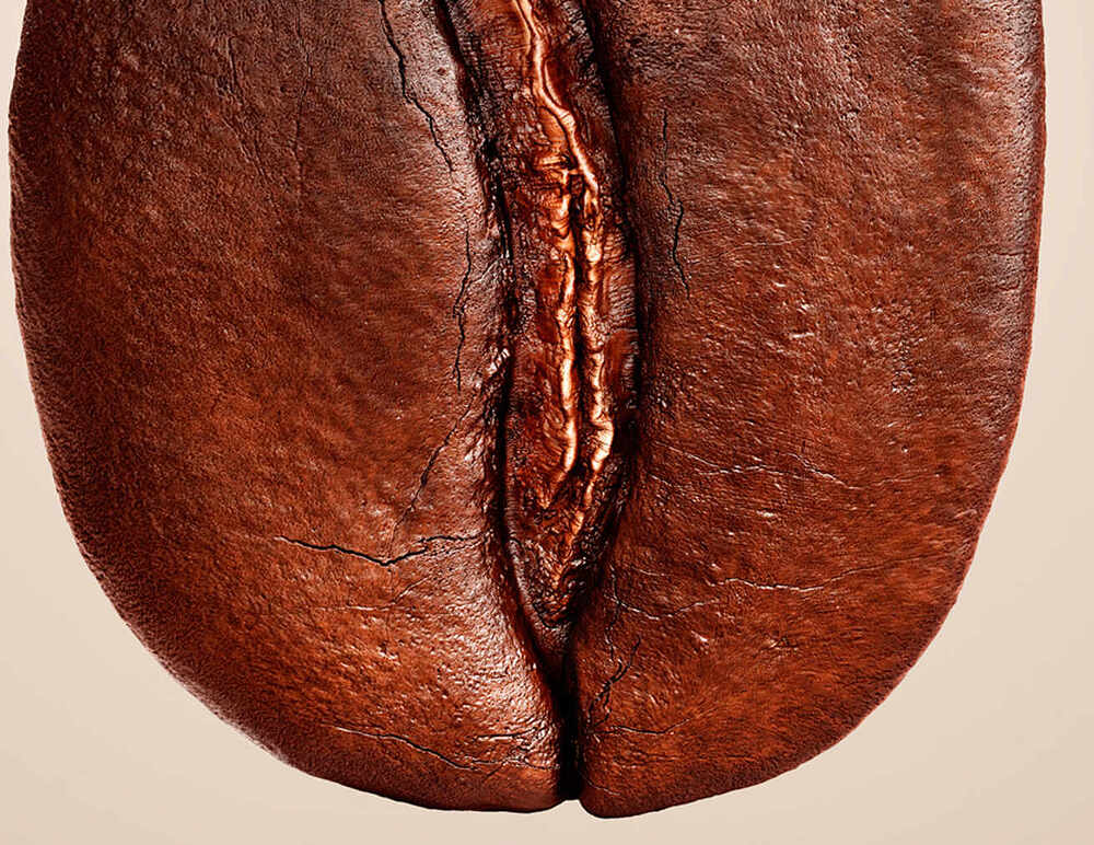 TORALDO Bean - part