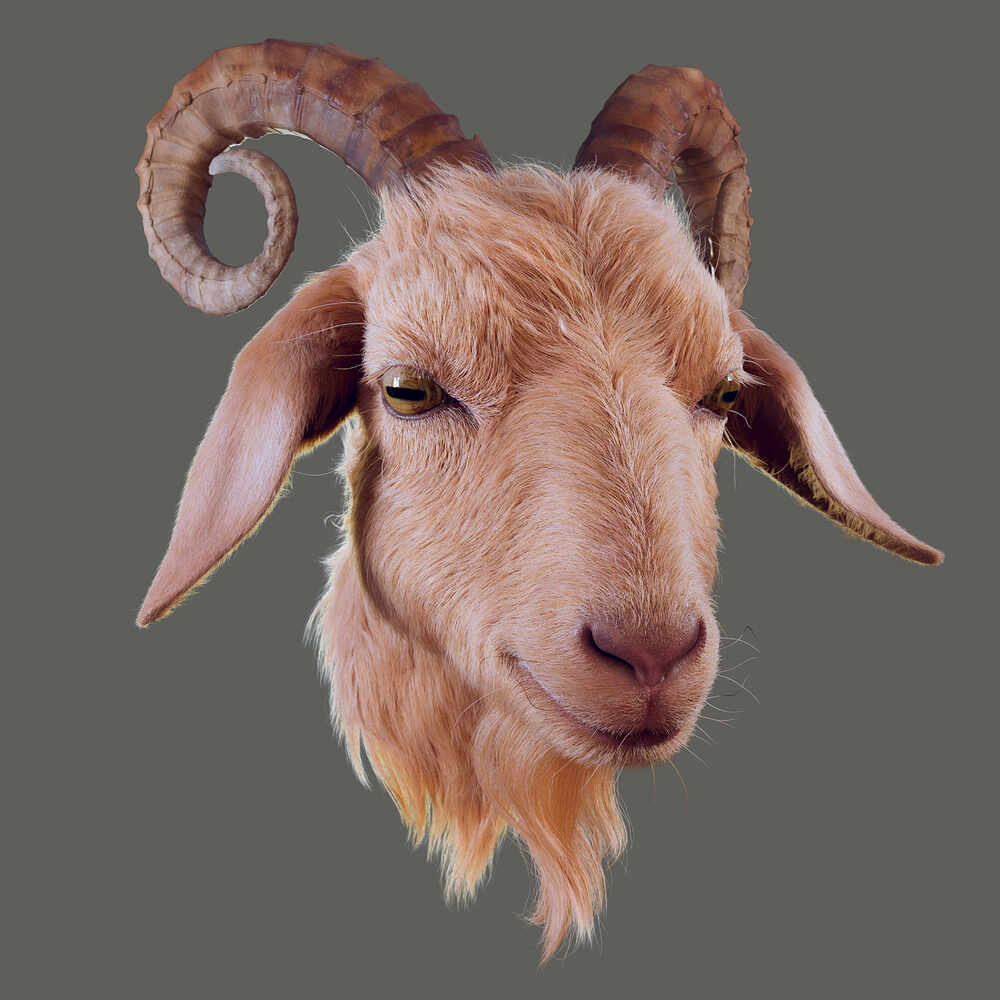 Goat_Render4_by_Vinay_Gupta
