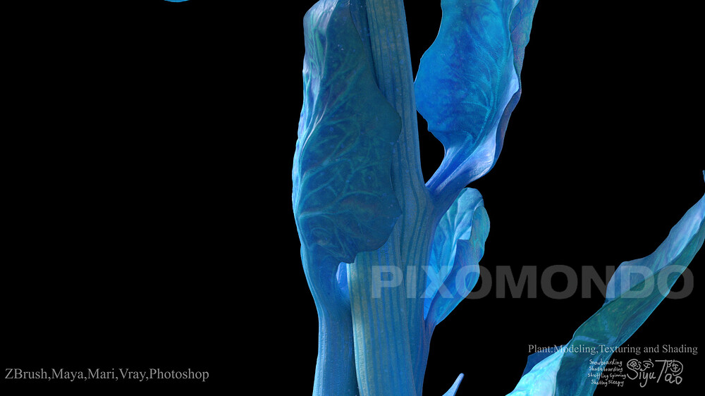 ShowreelLVP_00209