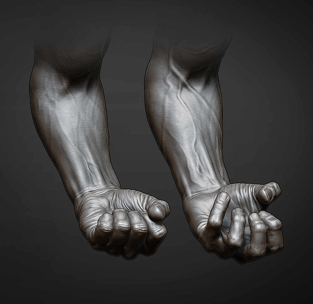 arms