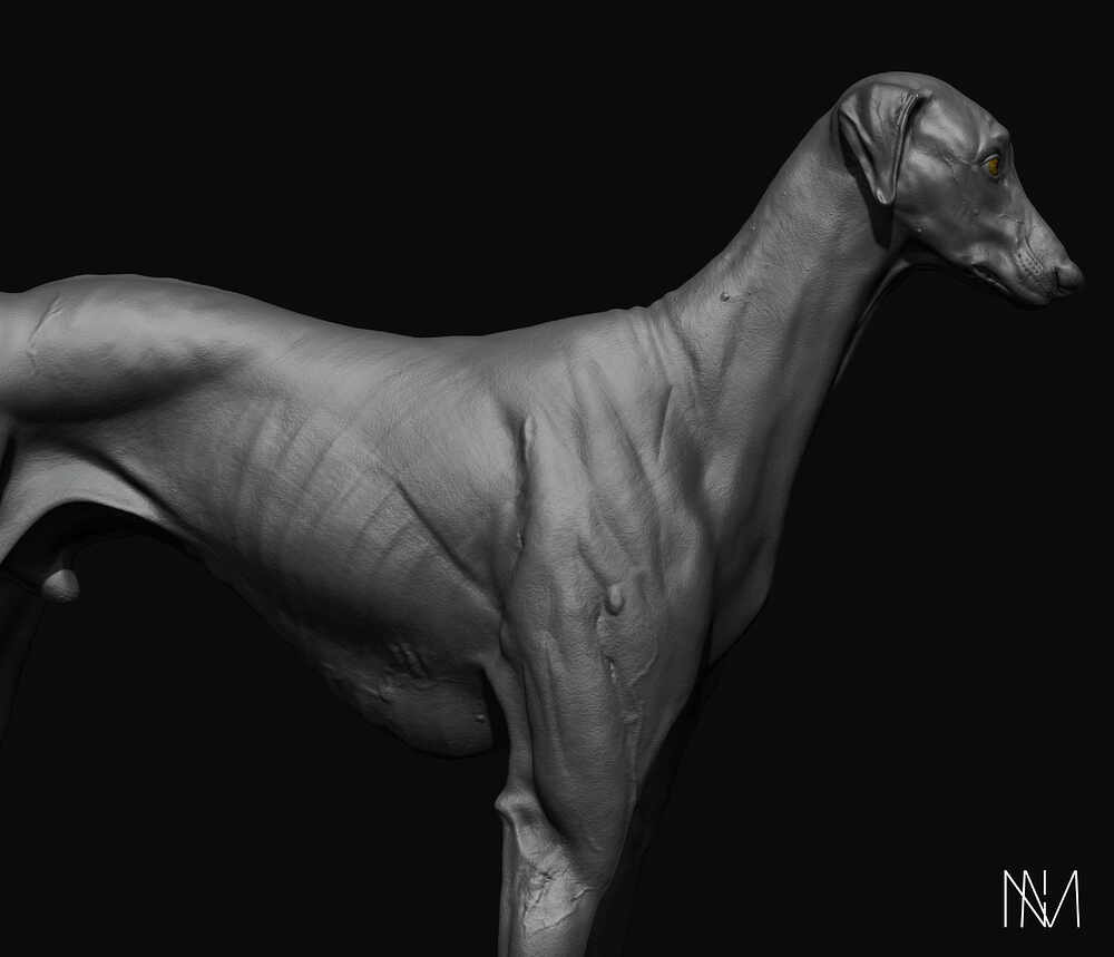 D_Render_15