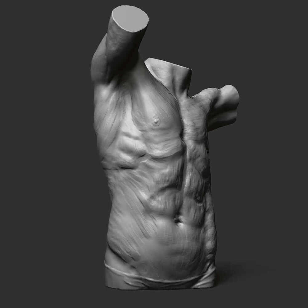 Male_Torso_1080x1080_views_3