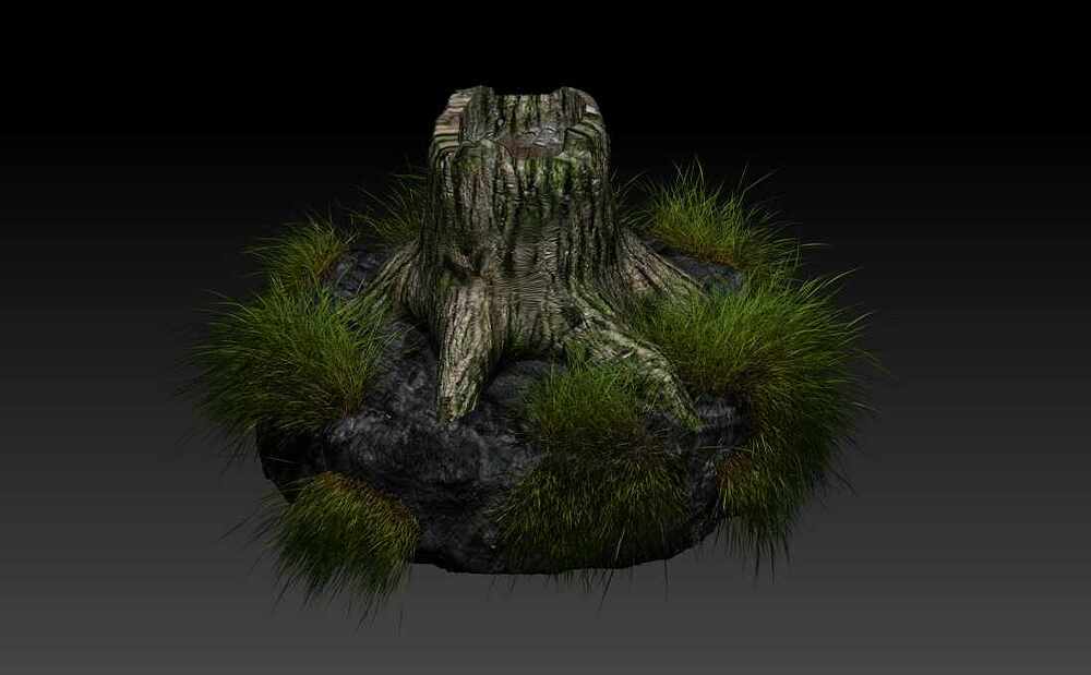 Tree trunk 1