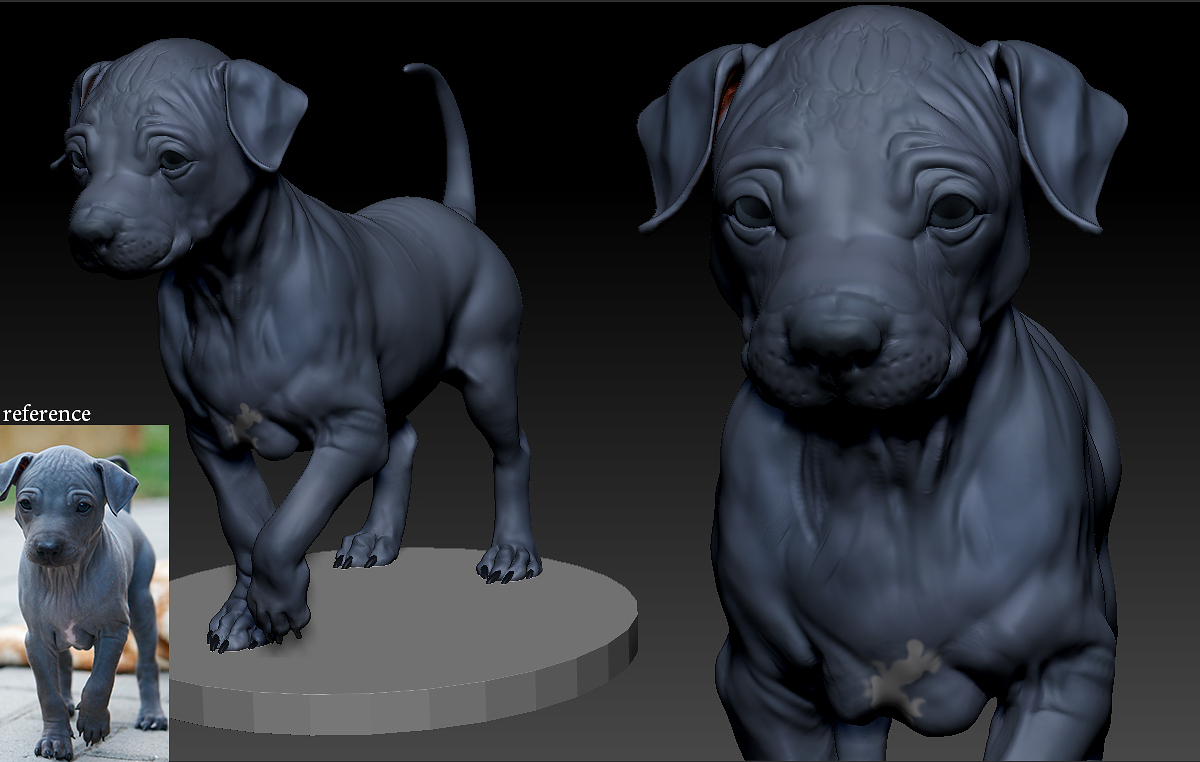ZBrush Document1.jpg