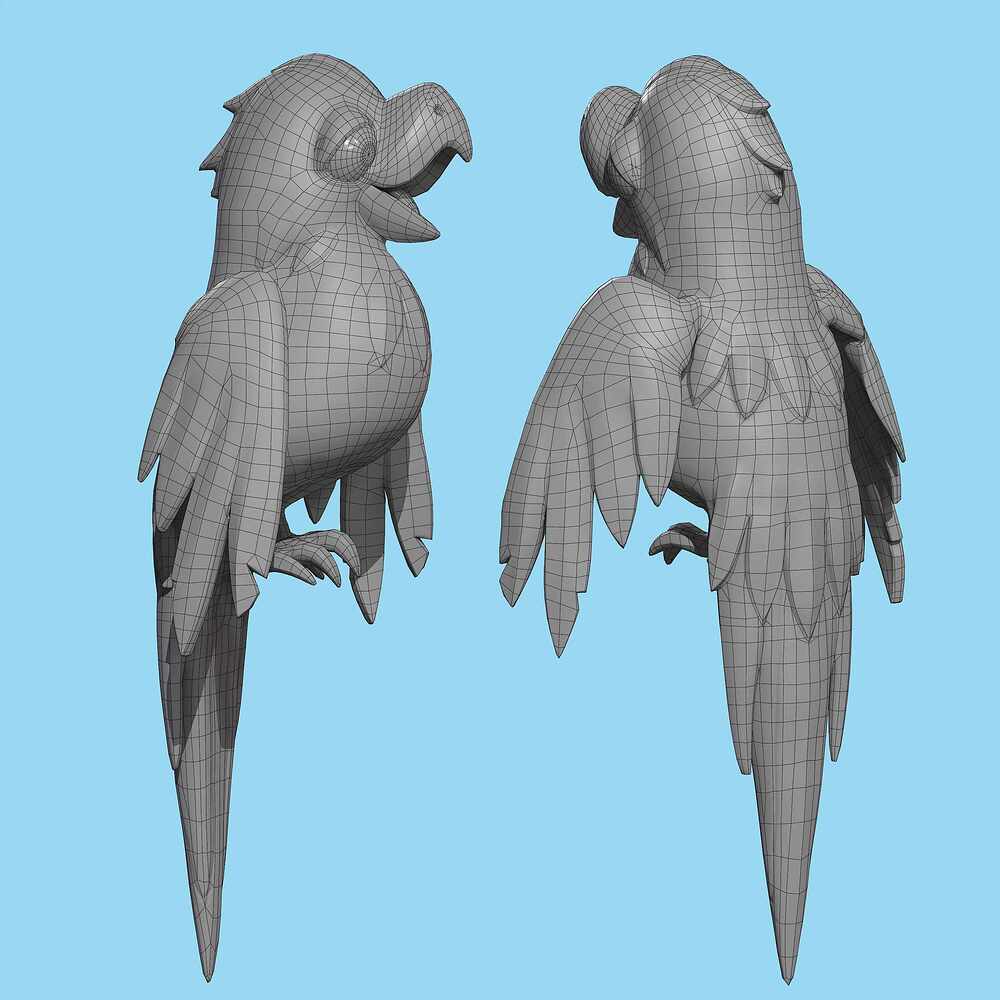 Colored_parrot_camera_002