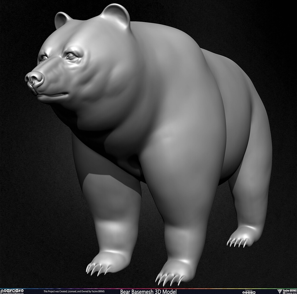 Bear Basemesh 3D Model Sculpted by Yacine BRINIS Set 014