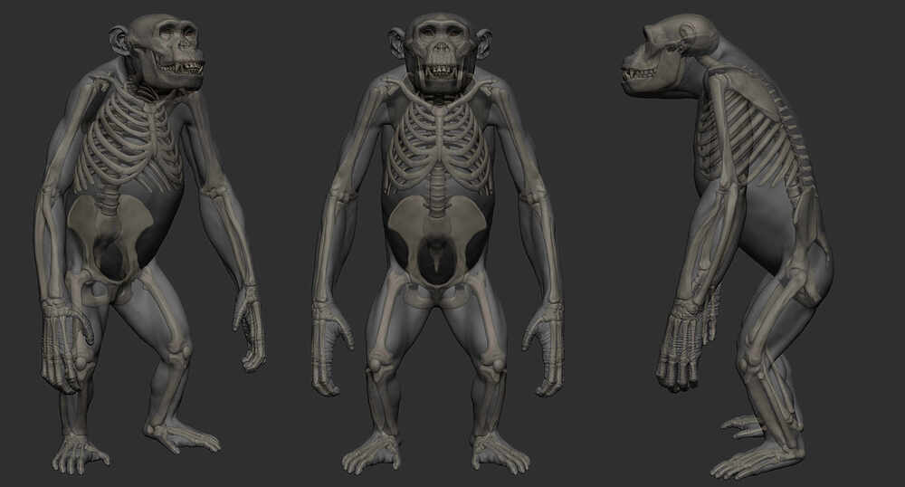 model_01