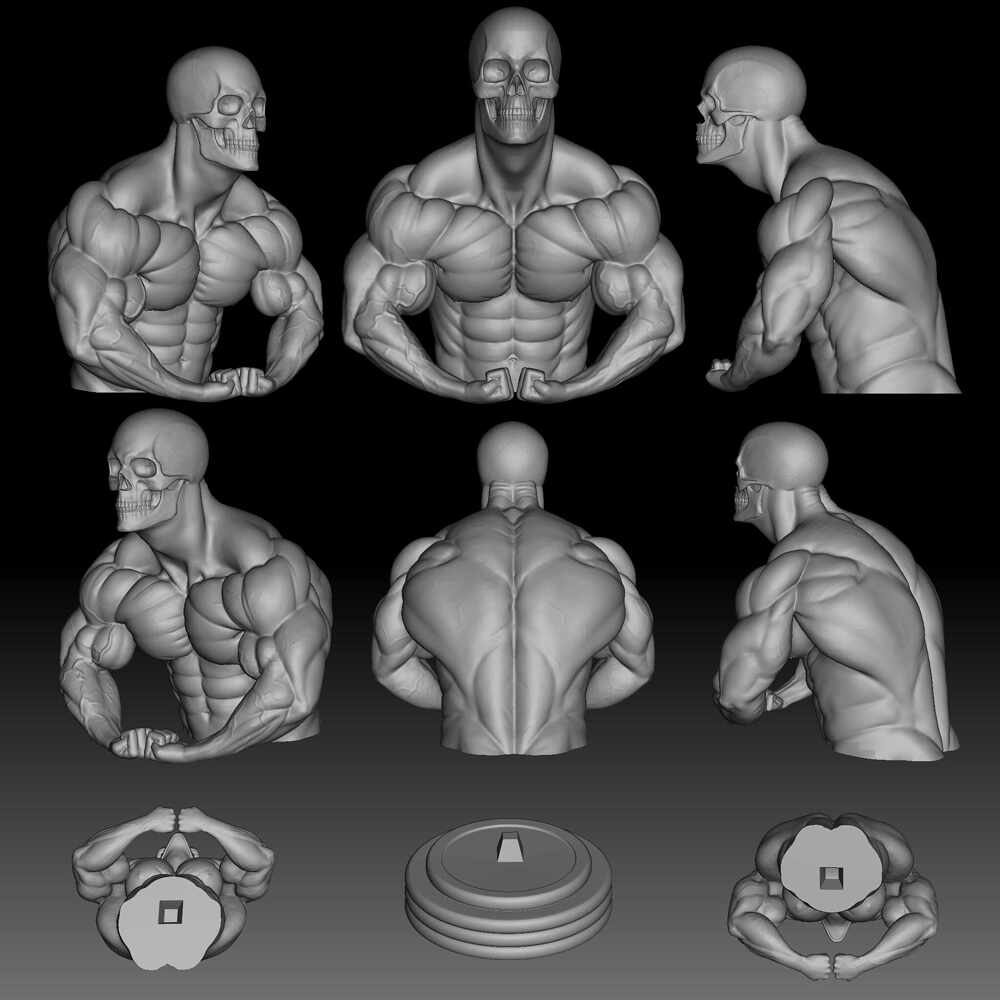 Body7