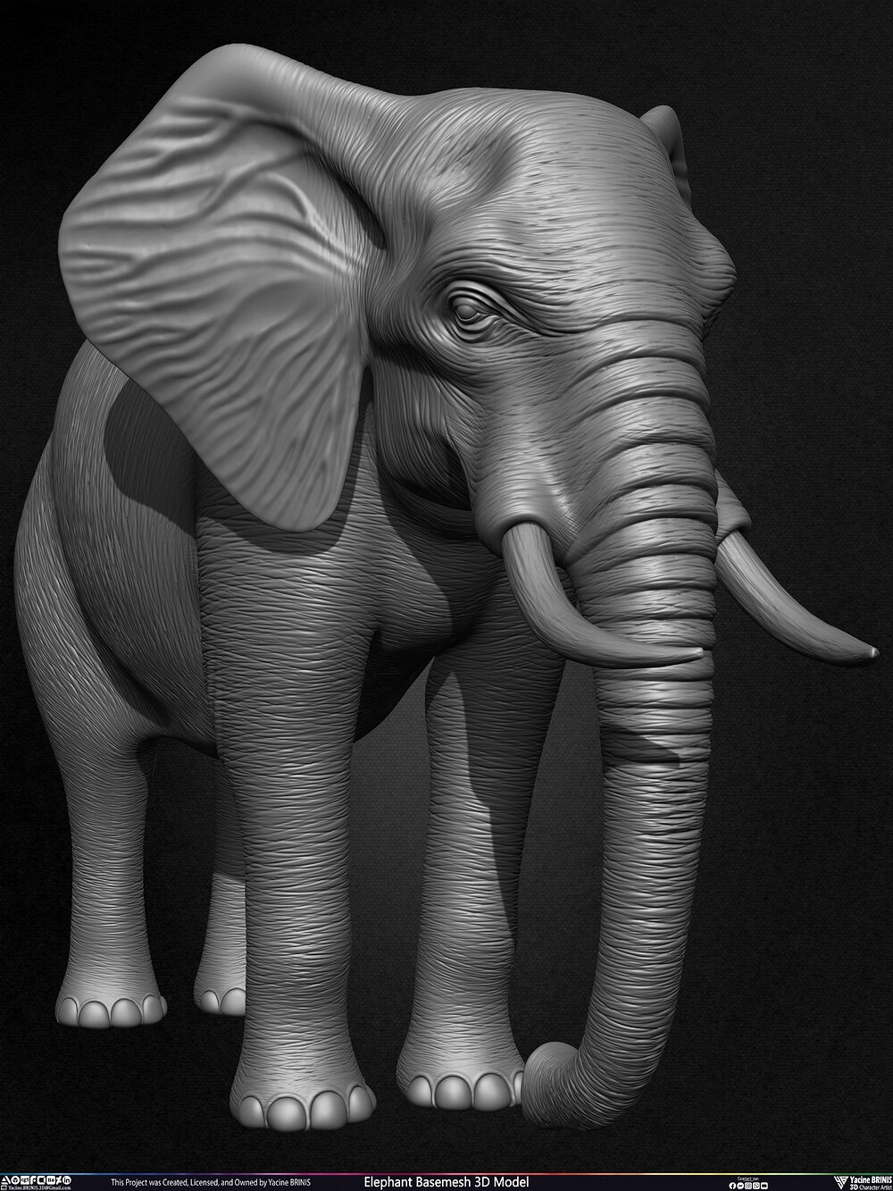 Elephant Basemesh 3D Model Animal Sculpted by Yacine BRINIS Set 007