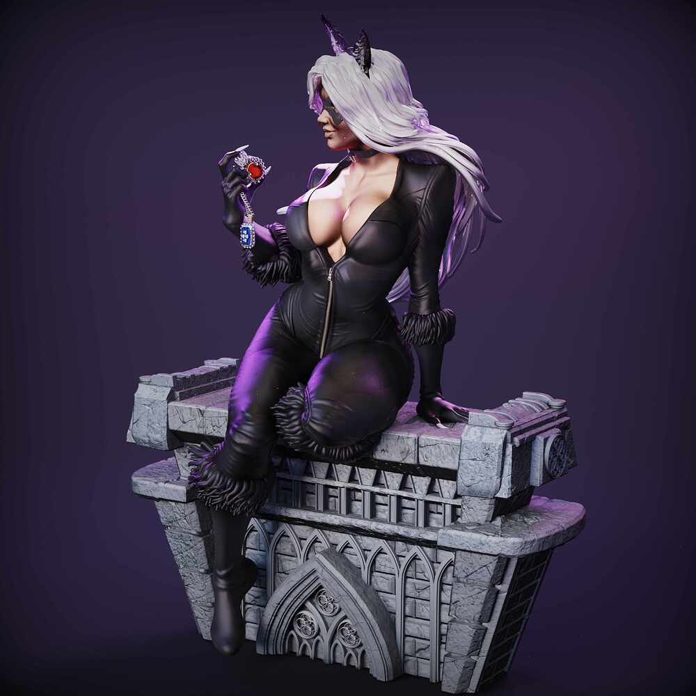 BLACK CAT CAMERA 8