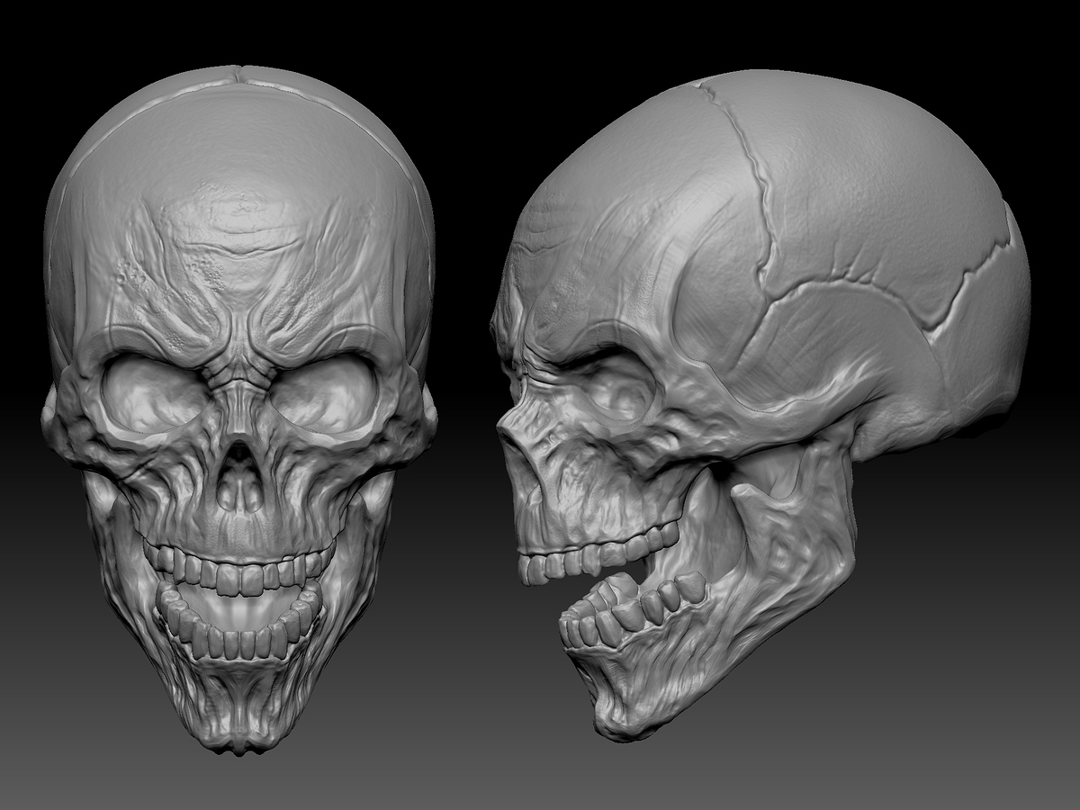 skull