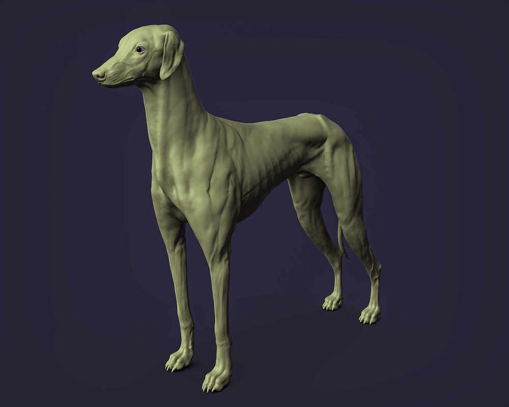 render_03