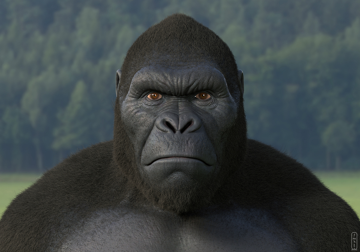 salah-elshehry-z36x2-kong