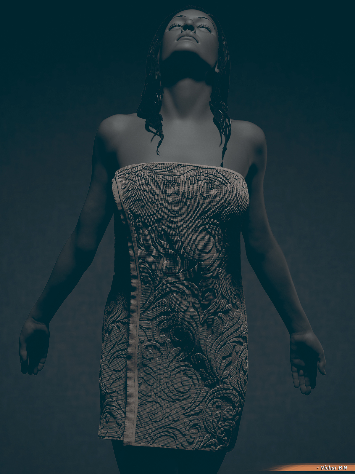 Z Towel_01