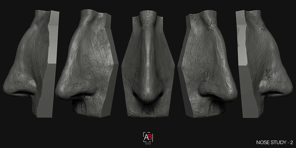 Nose Study-2
