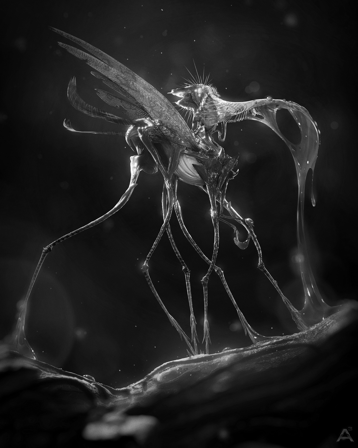 mosquito_bw
