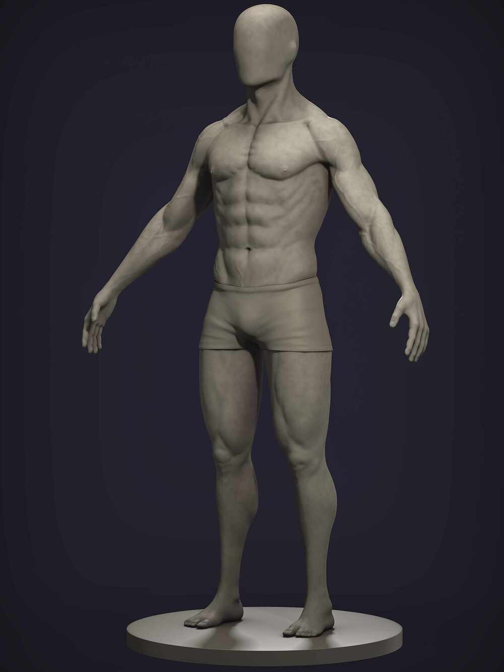 anatomy04