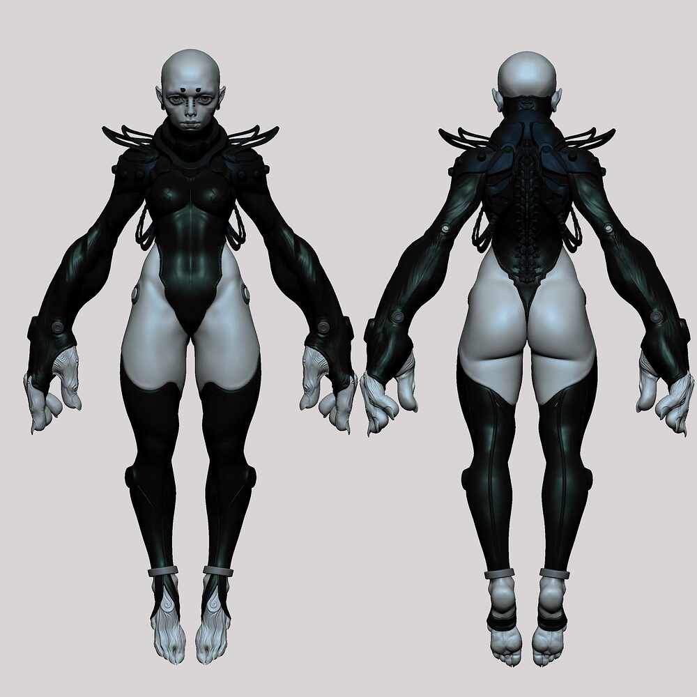 ZBrush Document