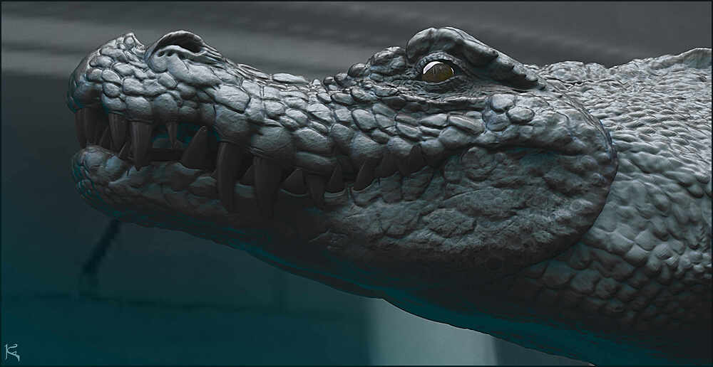 Crocodile1001_01.1001_v2