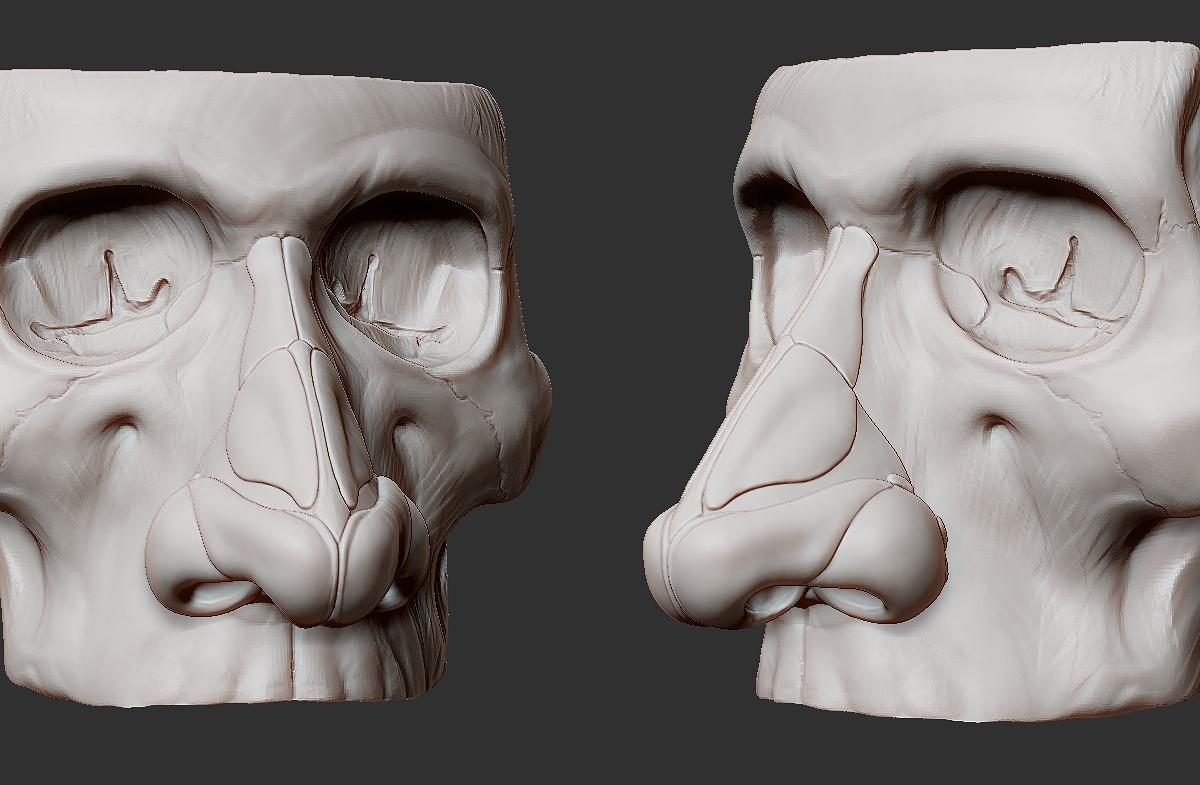 nose.jpg