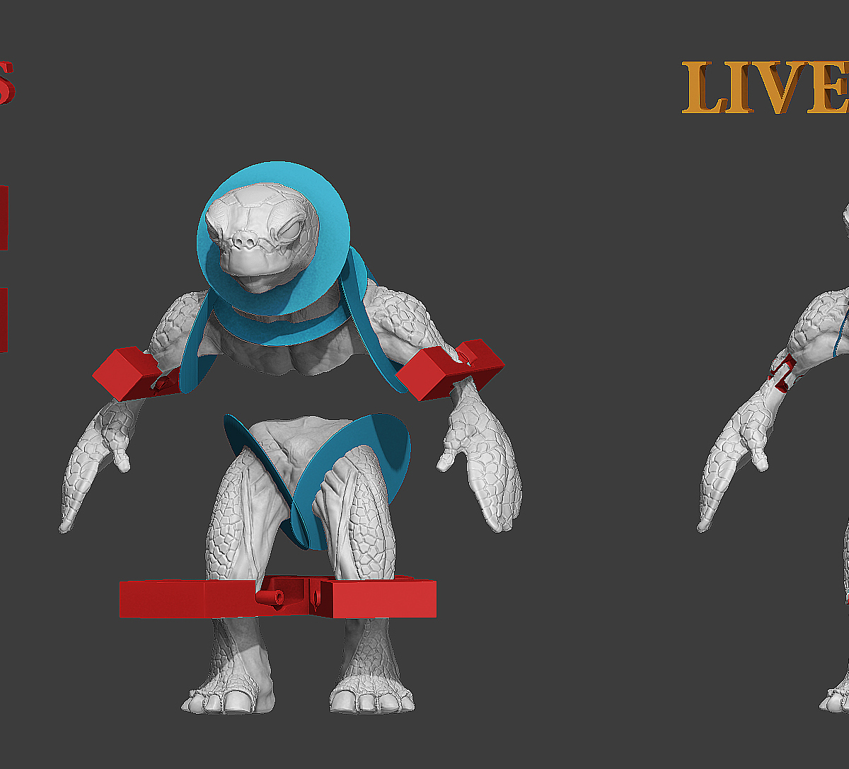 TurtleView6_v1.jpg
