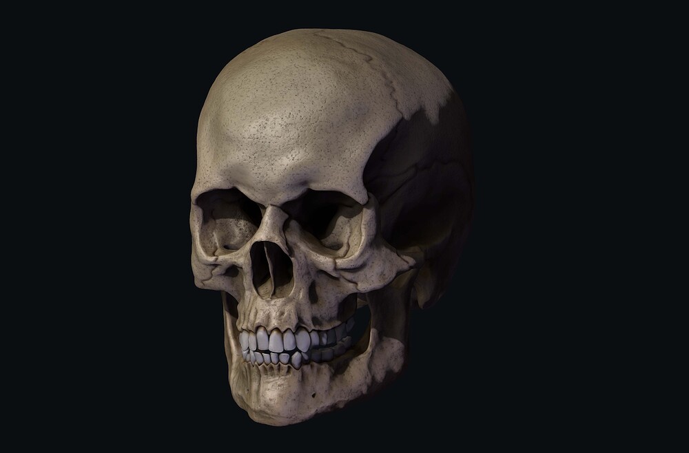 RAMON_ROMERO_PERPIÑA_Craneo_Render _23791