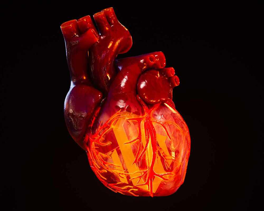 heart