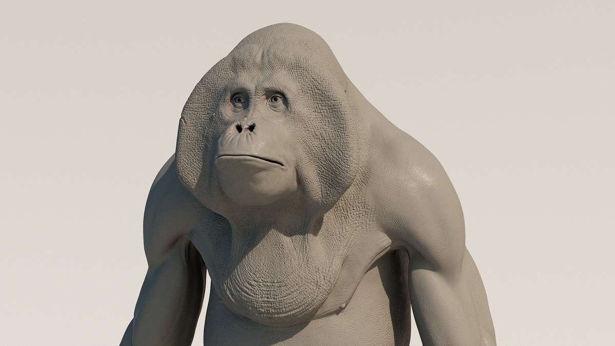 USANDIZAGA_Martin_AnimalDetail02Clay