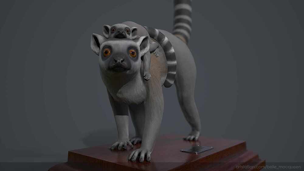 Lemur_9_Belle_Macqueen