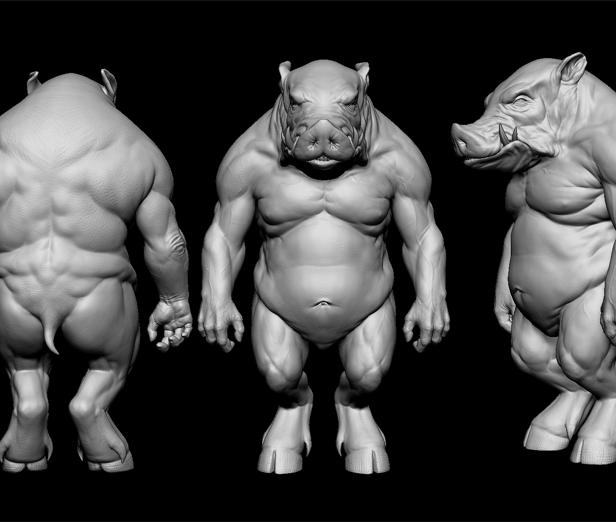 boar2.jpg