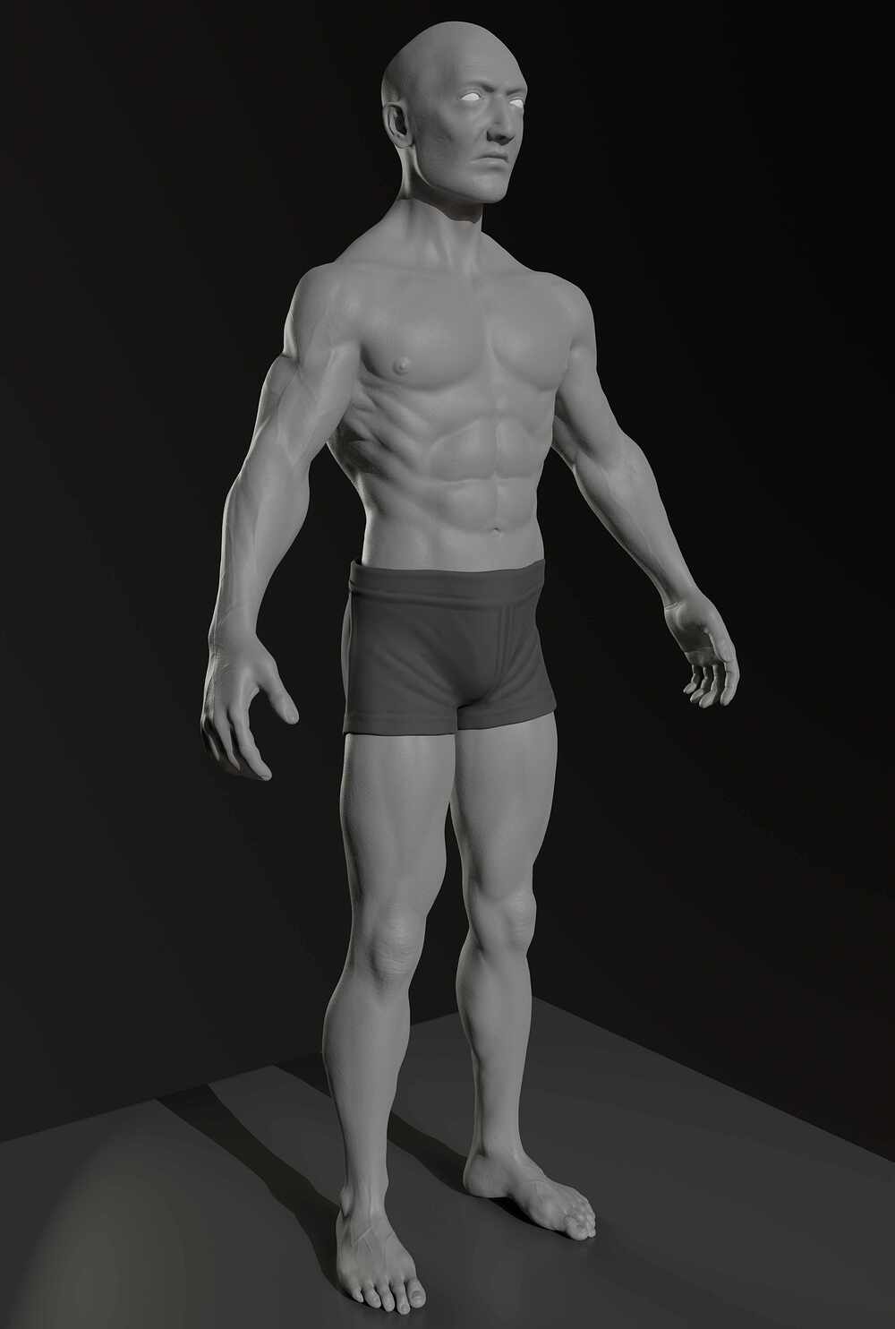 anatomy_2