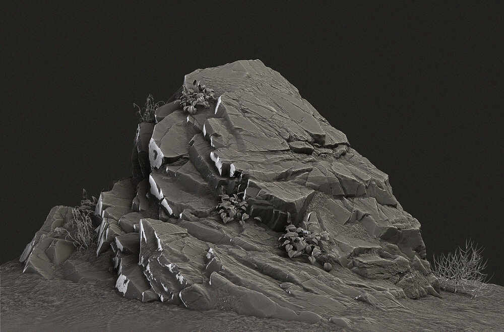 Y12