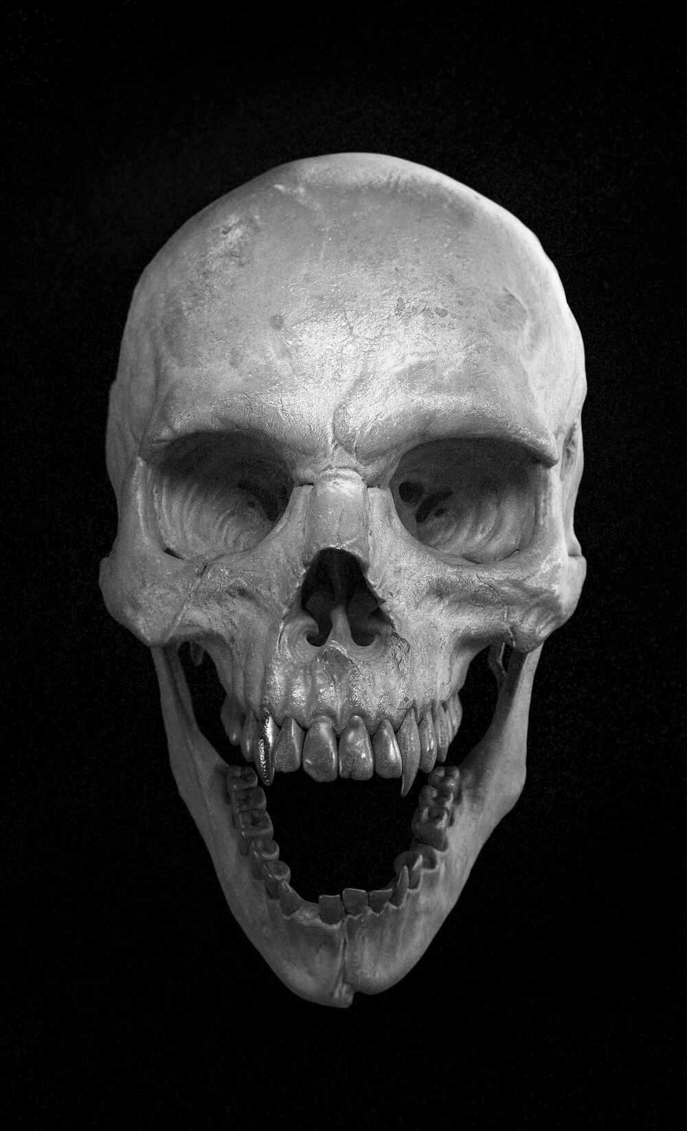 skullrendrbw