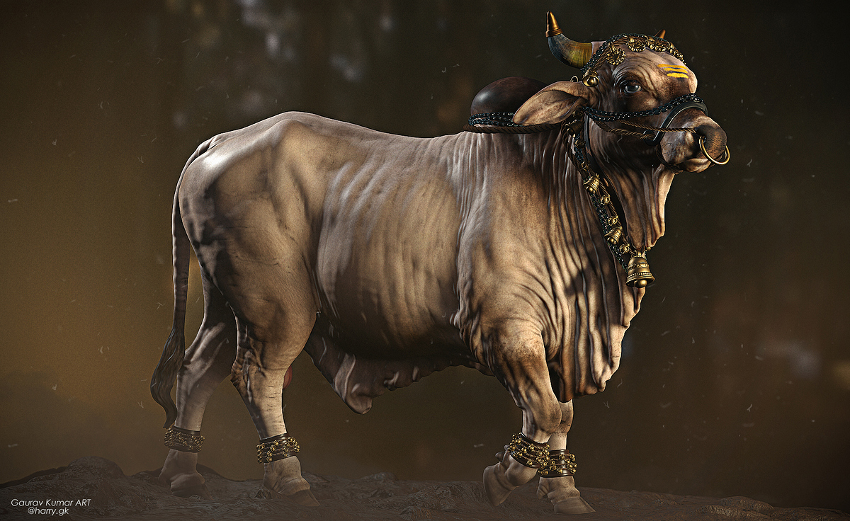 Bull__005